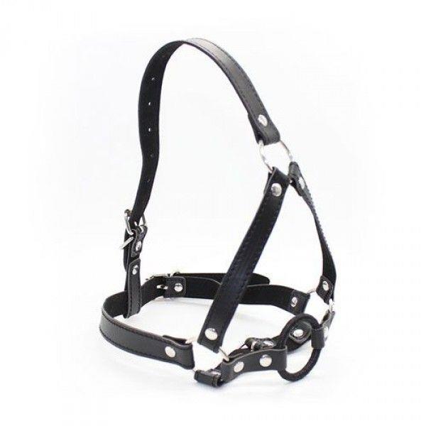 Galvos pakinktai su žiediniu knebliu „Head Harness & Ring Gag“