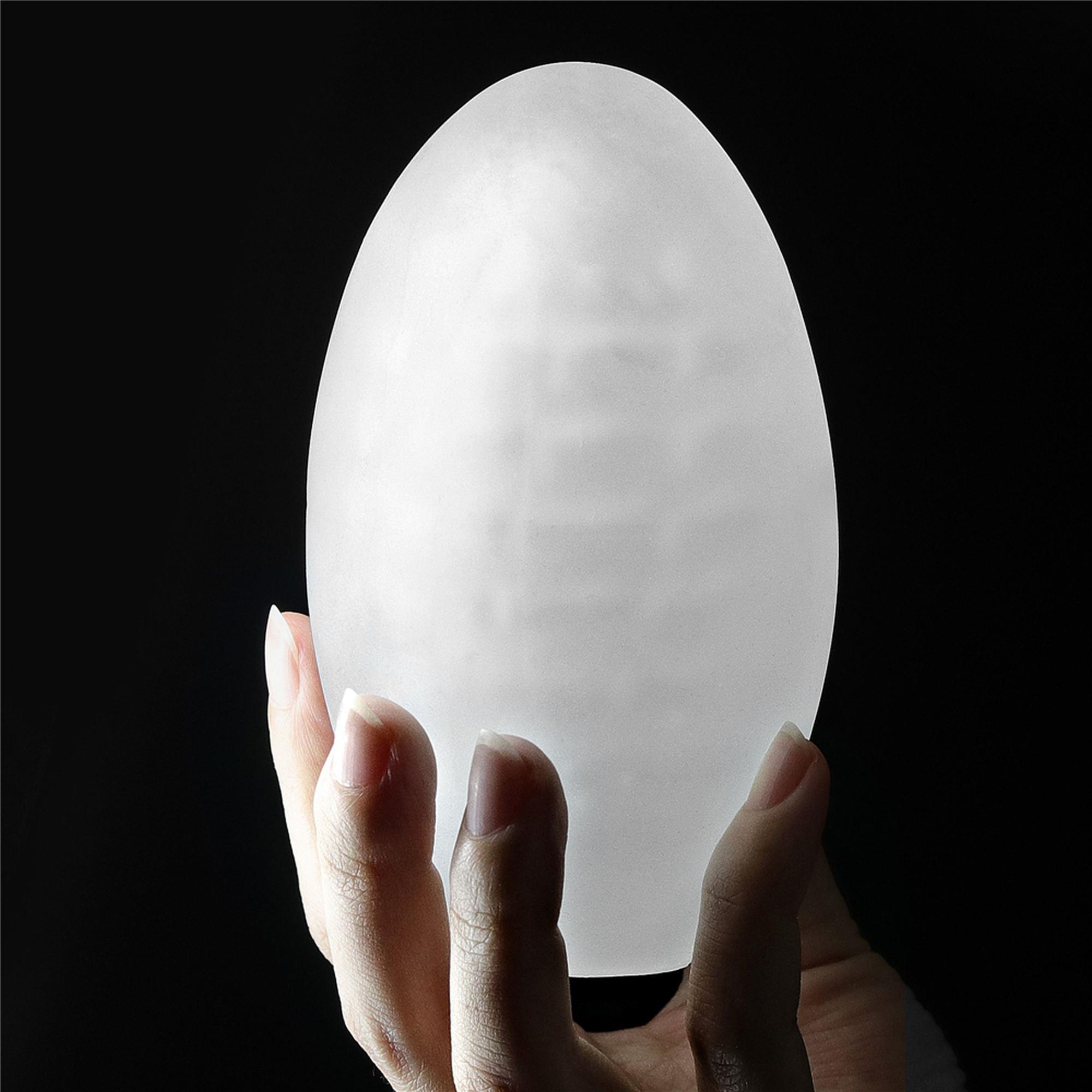 Masturbatorius „Giant Egg – Grind Ripples Edition“ - Image 2