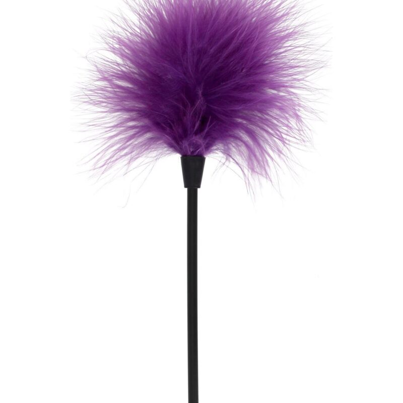 Plunksnų švelnukė „Sexy Feather Tickler“ (violetinis)