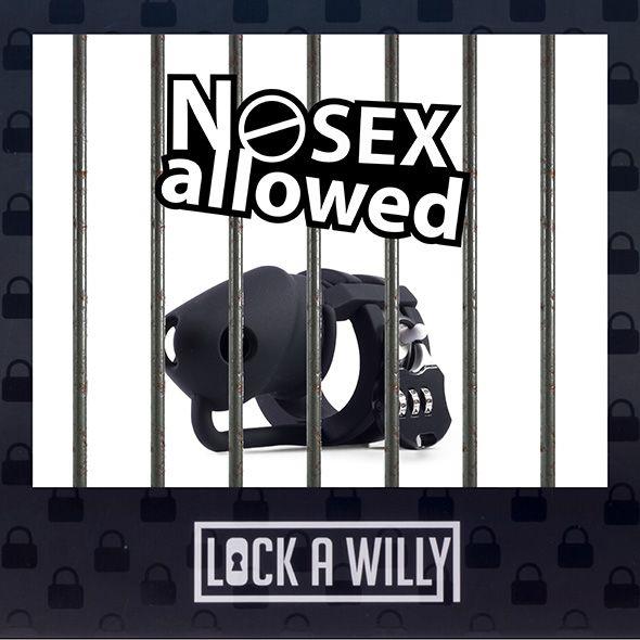 Lock-a-Willy susilaikymo ir aistros žaidimas porai - Image 4