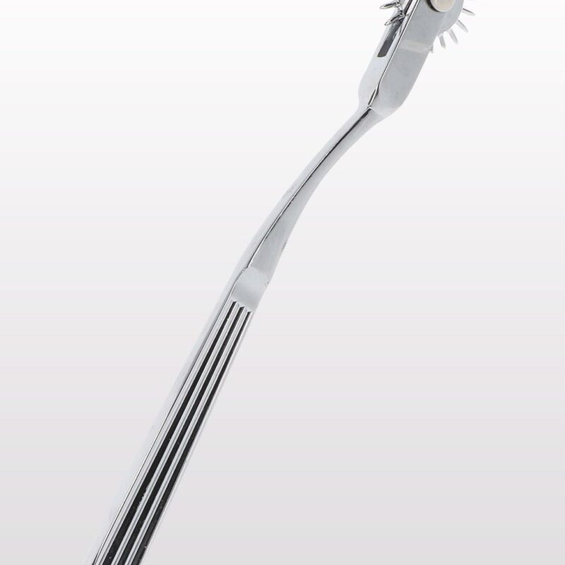 Warterberg Wheel Silver