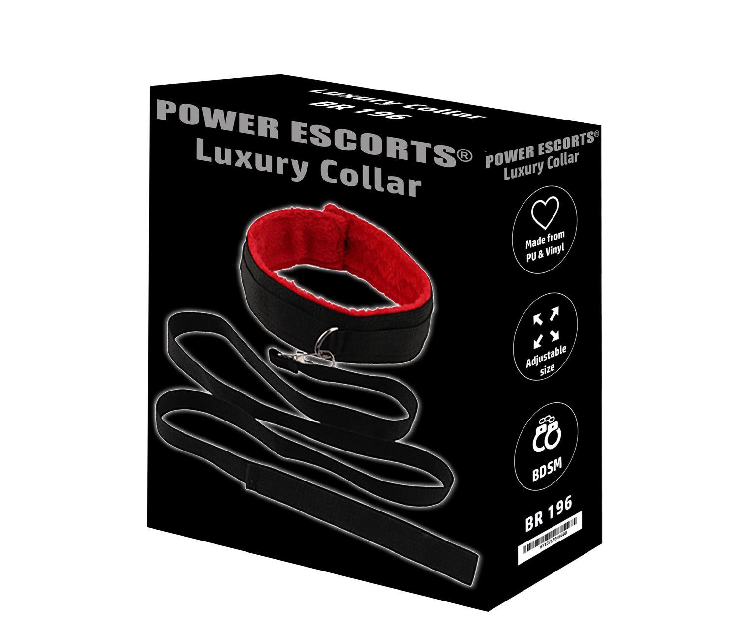 Prabangus odinis antkaklis su pavadėliu - Image 2