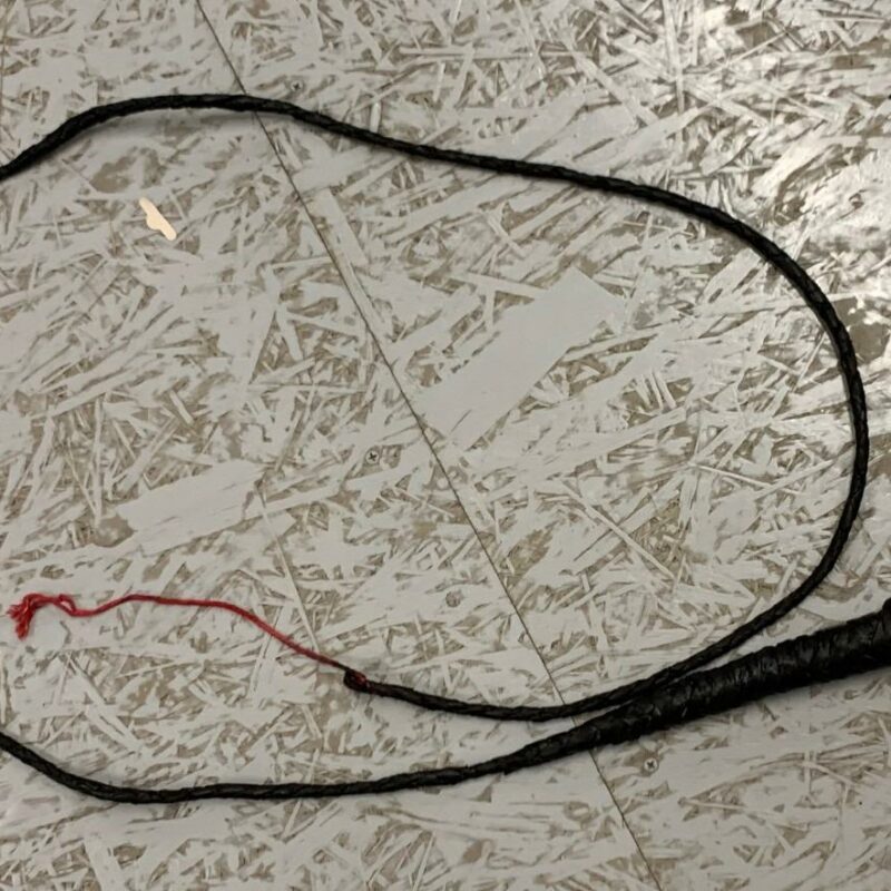 Kinky Fetish Mega Whip juodas ilgas botagas 225 cm