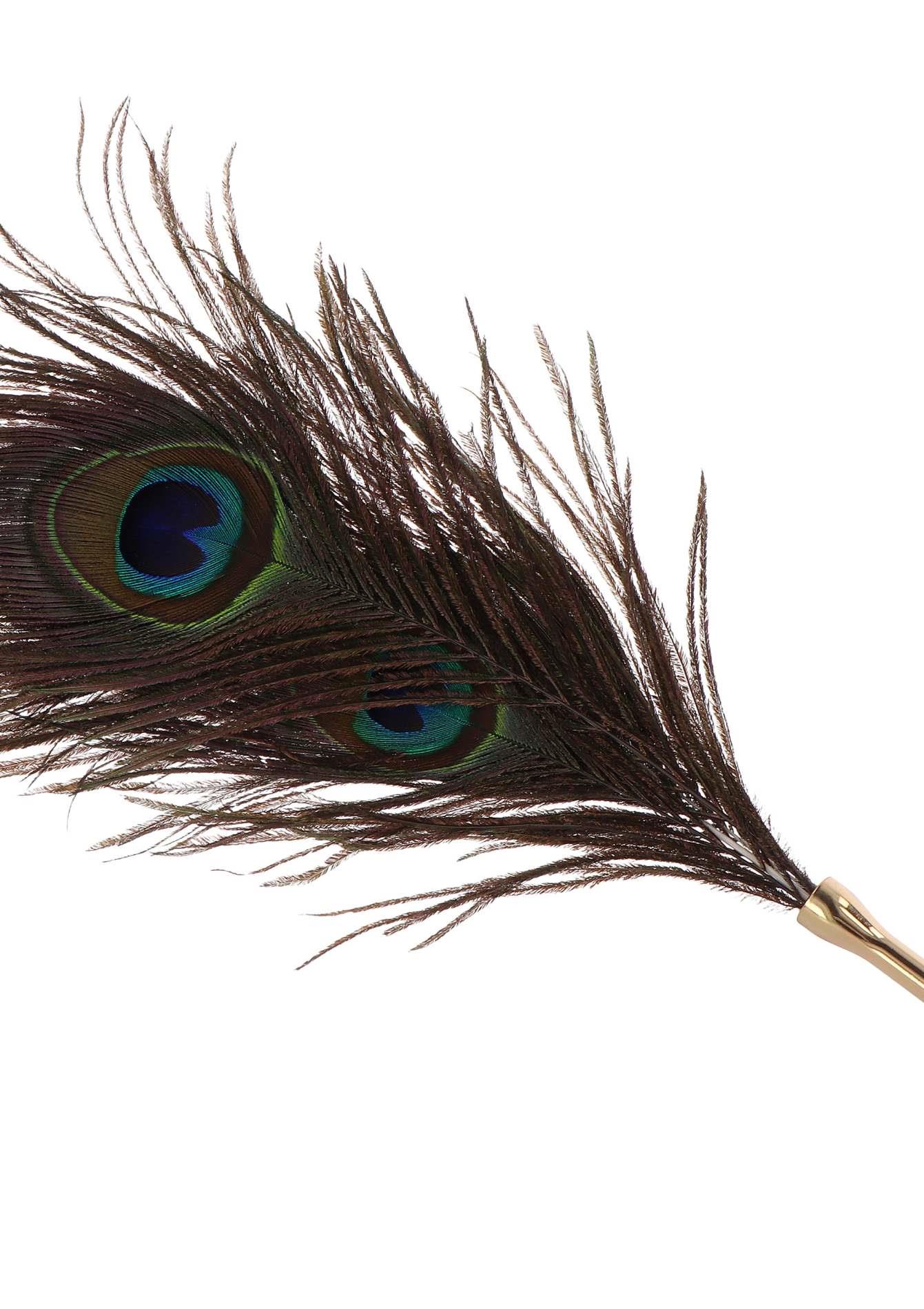 Peacock Tickler Rose Gold - Image 5