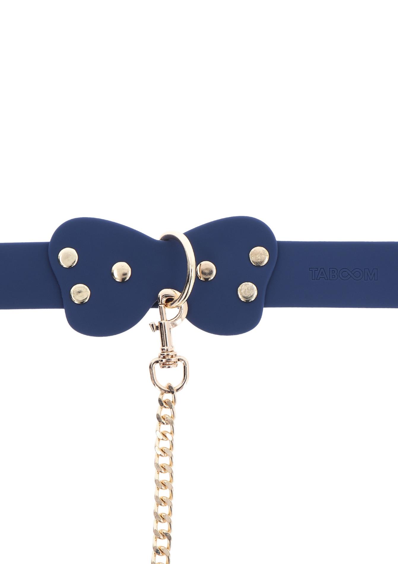 Silicone Collar and Leash Blue - Image 6
