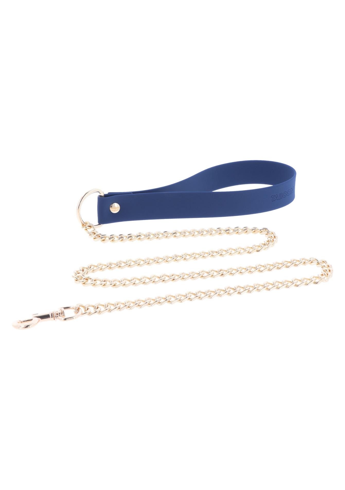 Silicone Collar and Leash Blue - Image 7