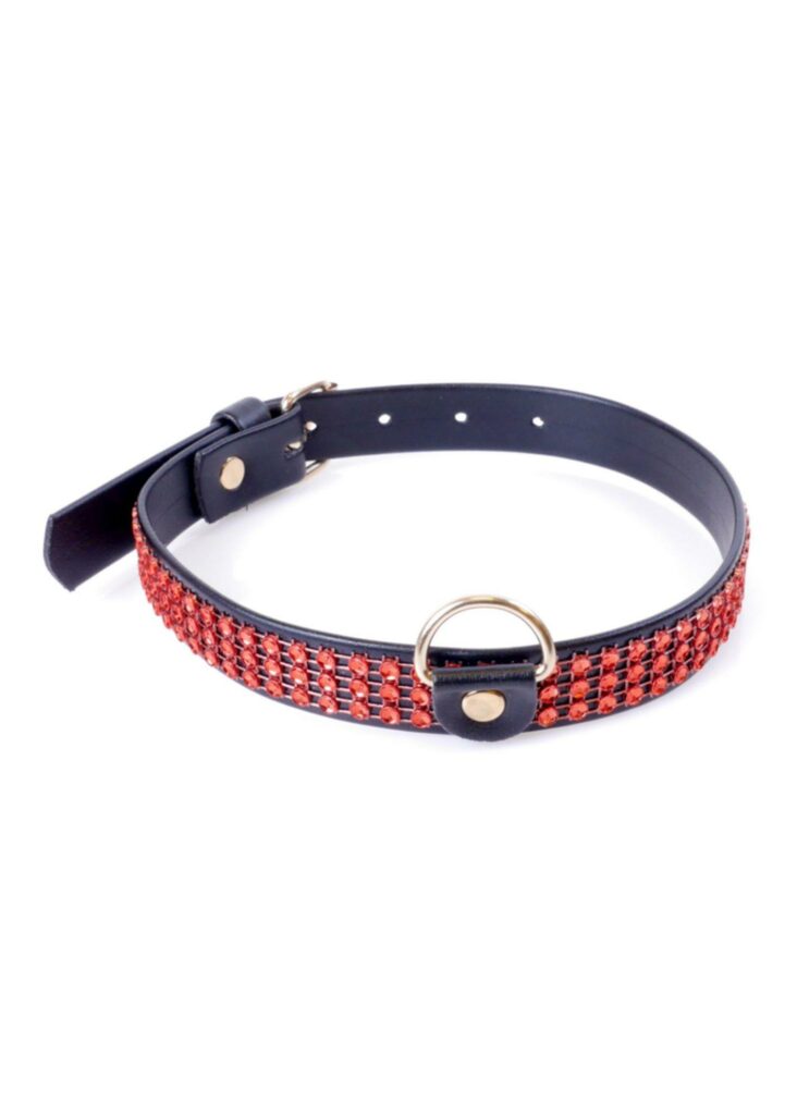 Fetish B-Series antkaklis su kristalais 2 cm „Red Line“