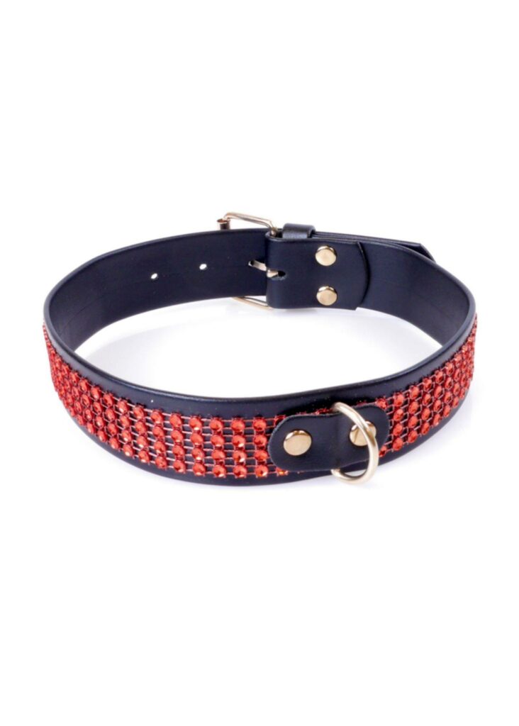 Fetish B-Series antkaklis su kristalais 3 cm „Red Line“
