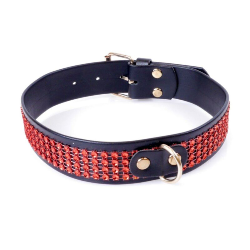 Fetish B-Series antkaklis su kristalais 3 cm „Red Line“