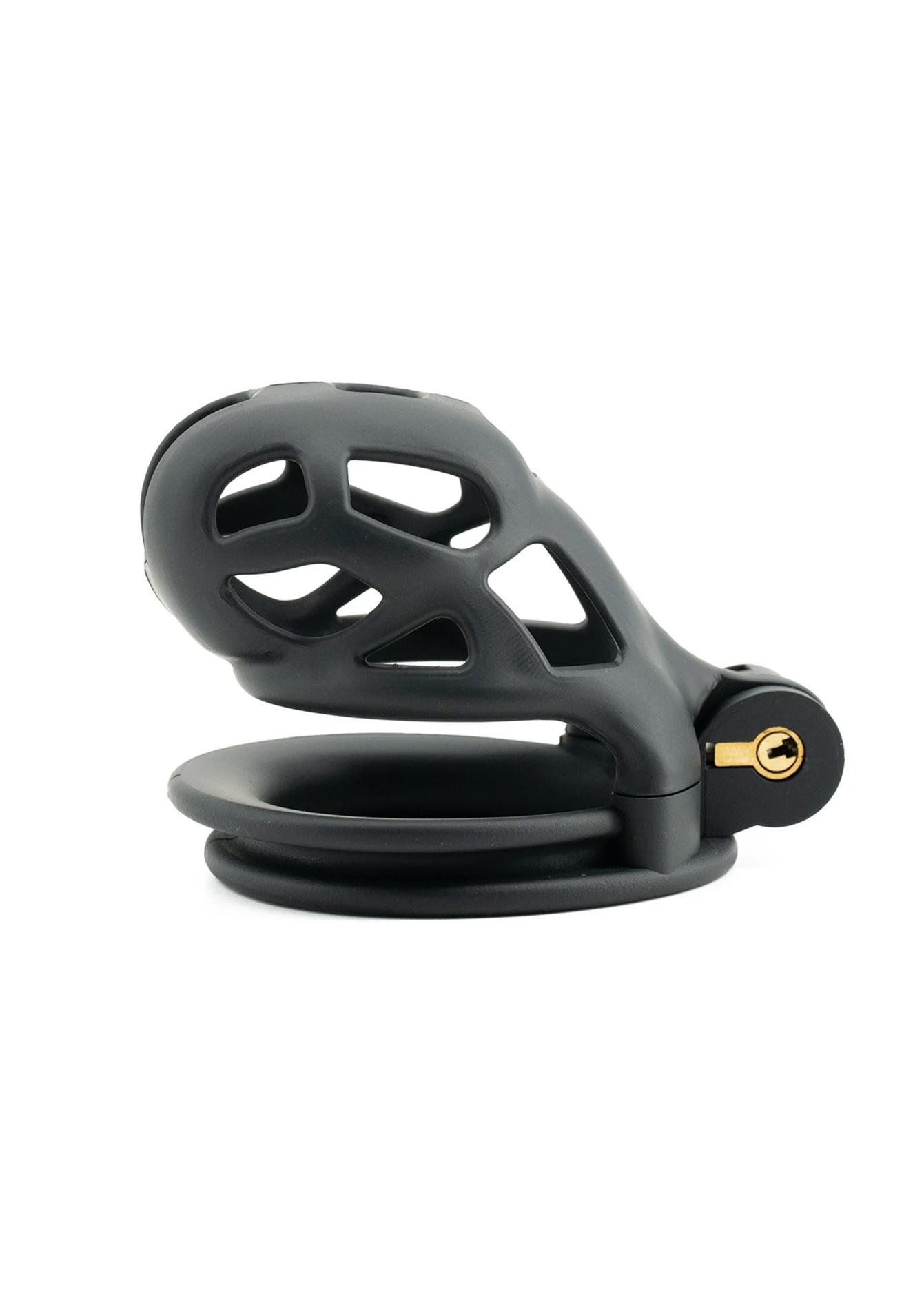 Skaistybės narvelis (Chastity Cage) - Image 3