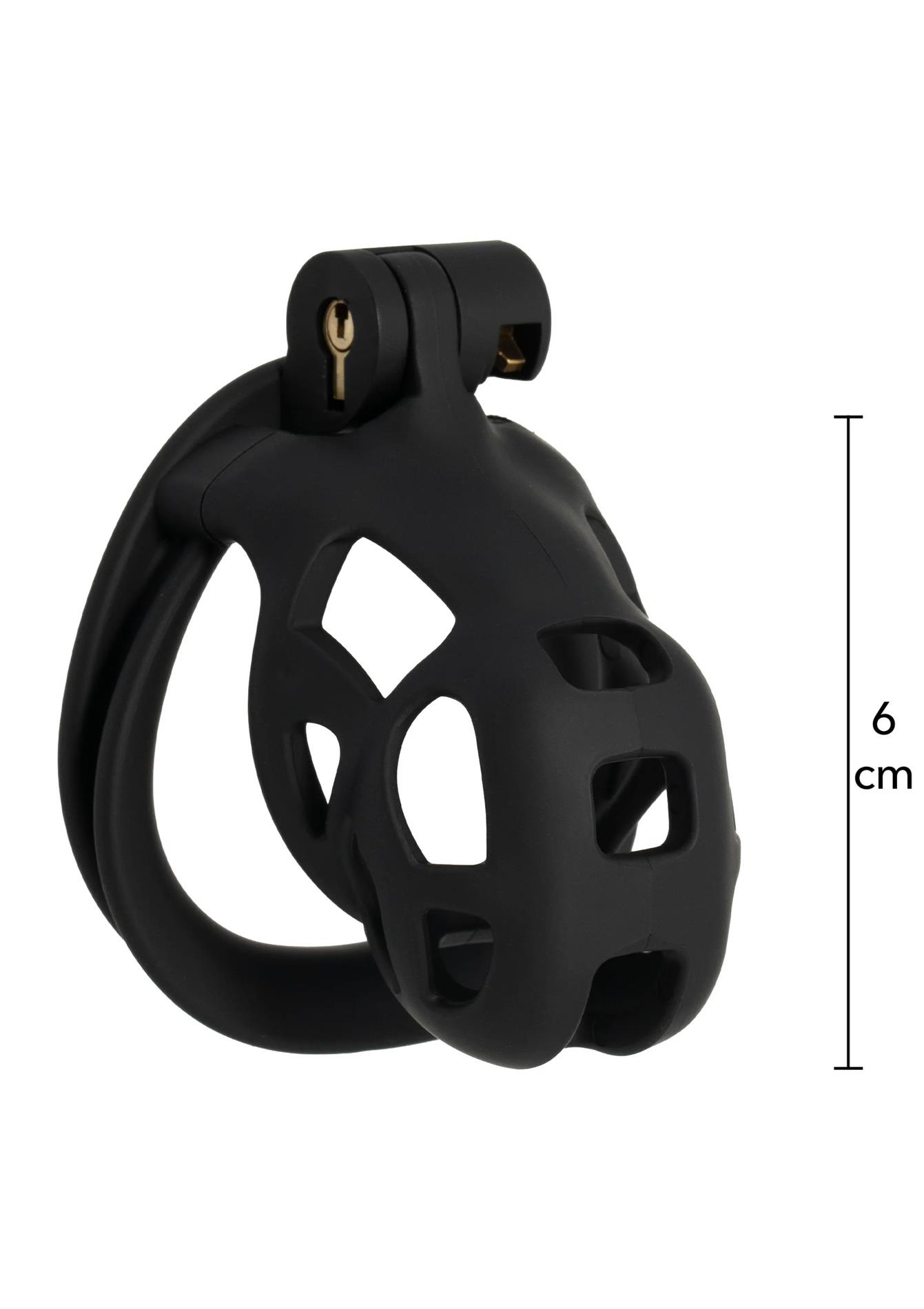 Skaistybės narvelis (Chastity Cage) - Image 4