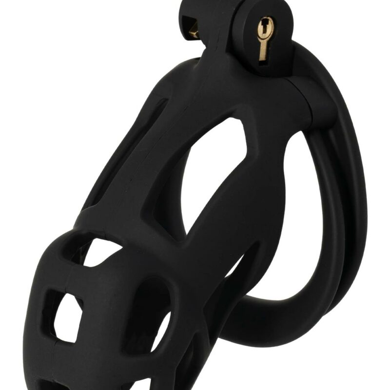 Penis Prison Cock Cage – standartinis skaistybės narvelis (juodas)