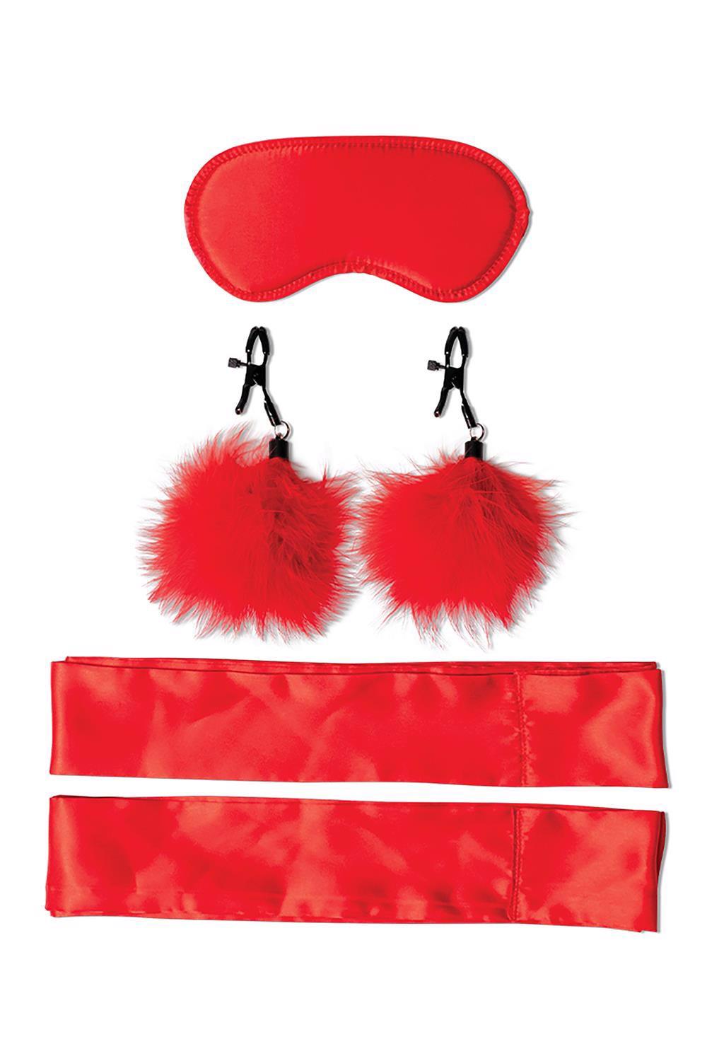 Sportsheets – profesionalus BDSM rinkinys pradedantiesiems - Image 2