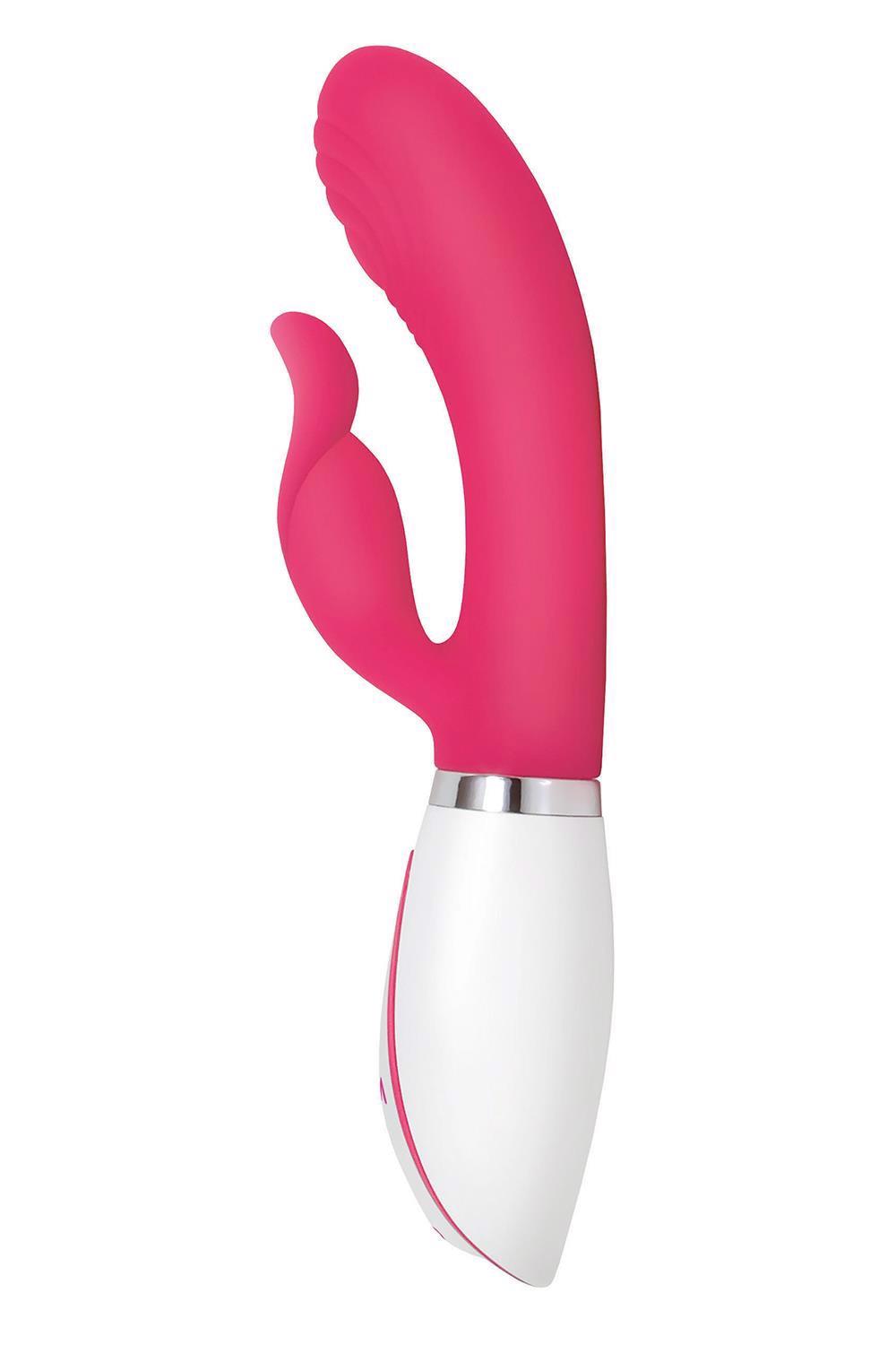 Evolved Disco Bunny – prabangus vibratorius - Image 4