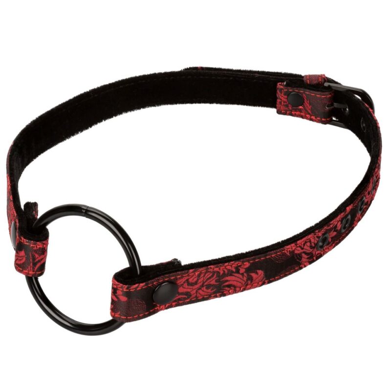 BDSM burnos kamštis