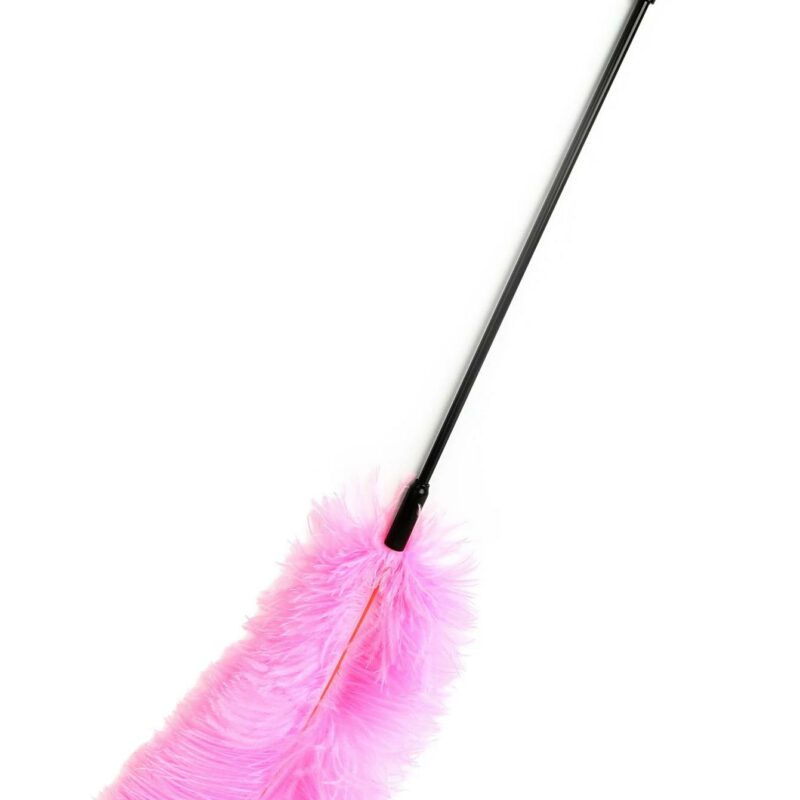 BDSM stimuliatorius su plunksnomis