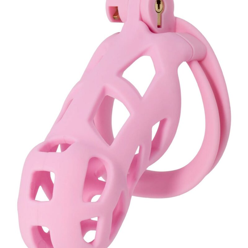 Penis Prison – skaistybės narvelis (ilgas, rožinis)