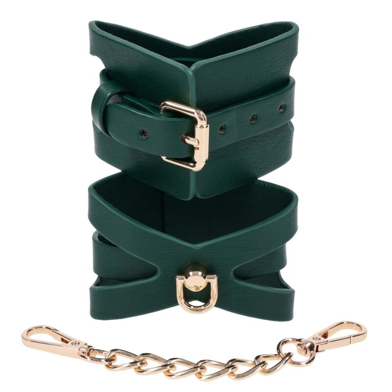 BDSM reguliuojami antrankiai