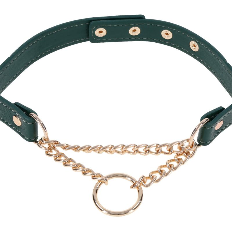 Day Collar